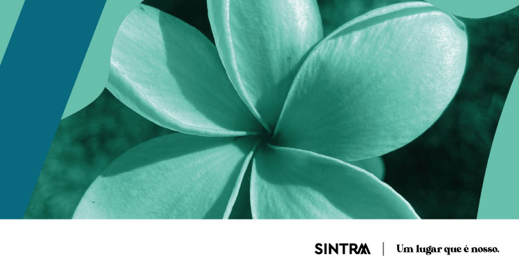 Banner_750x400_14-06_15H00