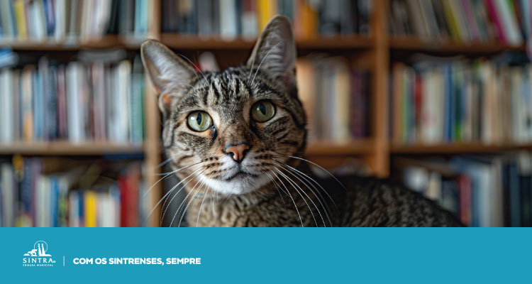 Banner_750x400_O-gato-que-nao-tinha-amigos7789