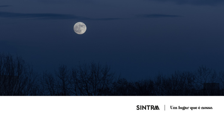 Bibliotecas_Setembro_Banner_Lua78867