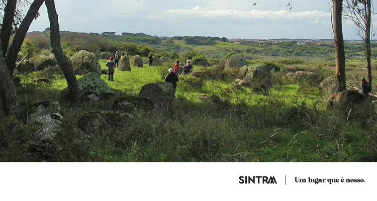 _7_Banner_cultura_megaltica_Barreira