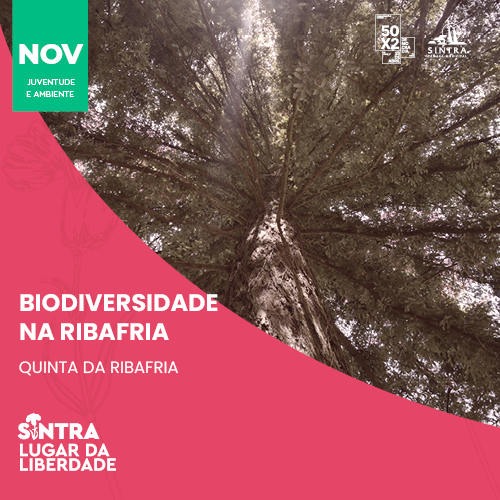 Biodiversidade_Ribafria.jpg