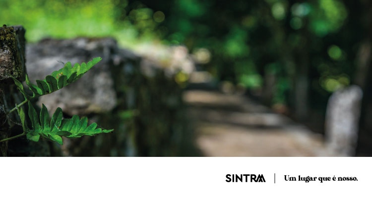 Quinta da Ribafria recebe colóquio sobre restauro de habitats em Sintra
