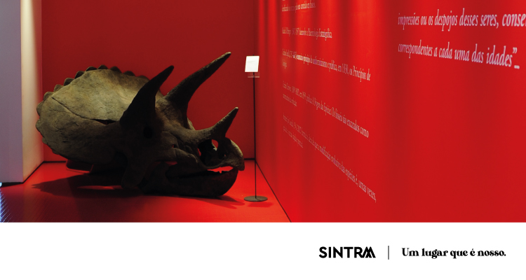 Museu de História Natural de Sintra celebra 15 anos com eventos gratuitos