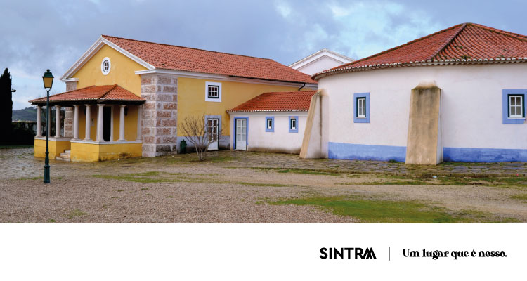 Teatro “Ulisses e o Cavalo de Tróia” para ver no MASMO