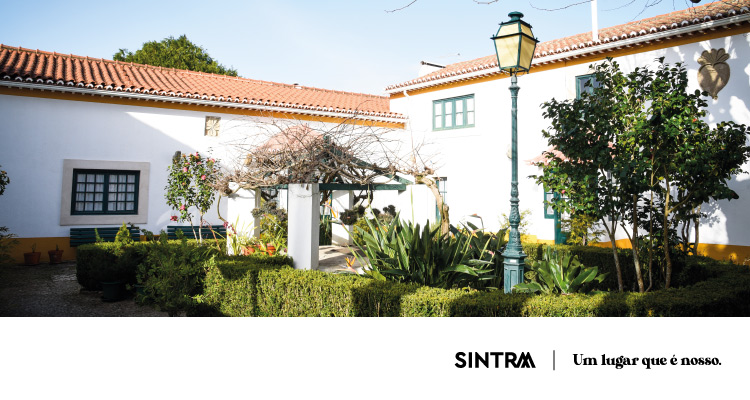 Museus Municipais de Sintra com novas atividades em janeiro