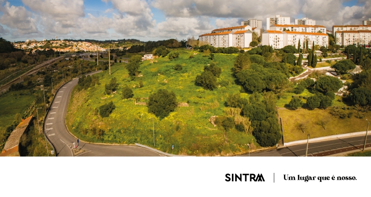 Câmara de Sintra avança com criação de Horta Solidária em Mira Sintra