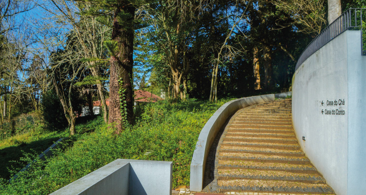 Autarquia avança com requalificação do logradouro da Biblioteca Municipal de Sintra | UF Sintra