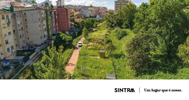 Câmara de Sintra atribui 15 talhões agrícolas na Horta Solidária da Quinta das Nogueiras
