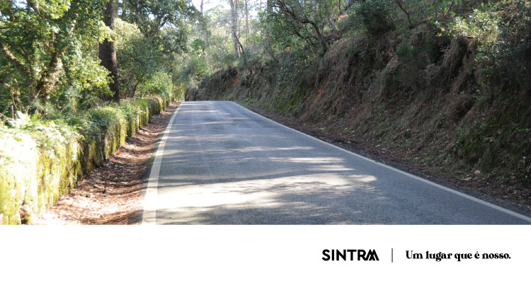 INFO | Restabelecimento da circulação na Serra de Sintra a 1 de agosto