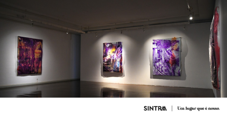 Exposição de Rui Miguel Leitão Ferreira encerra com visita guiada no MU.SA