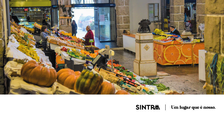 INFO | Mercados de Sintra com bancas e lojas em concurso público