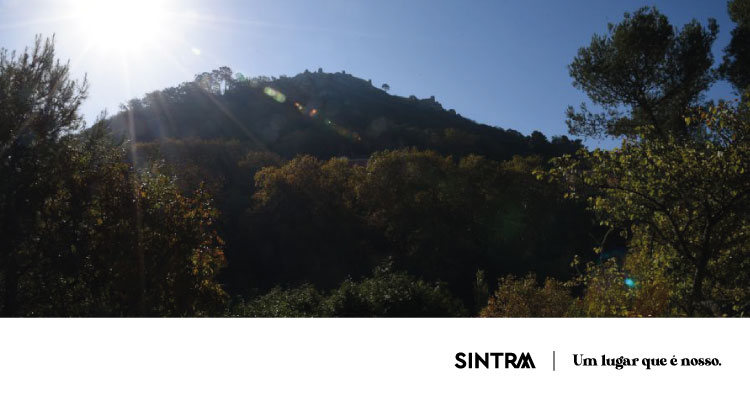 Situação de alerta mantém encerramento de perímetro florestal e monumentos de Sintra até 15 de agosto