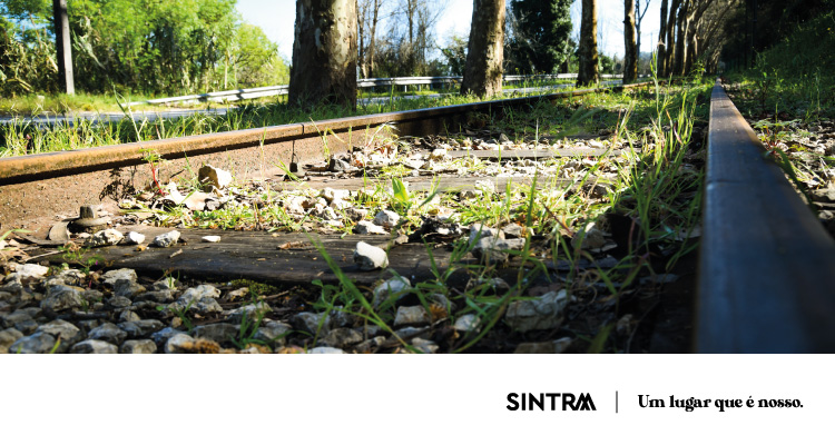 Autarquia reforça manutenção da linha do Eléctrico de Sintra