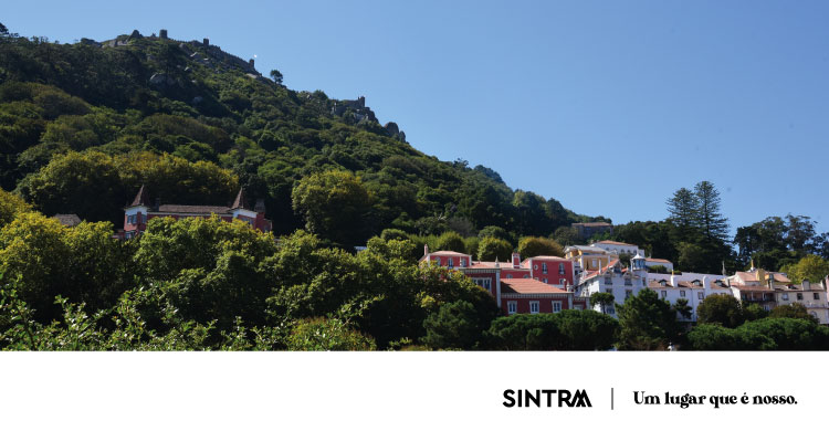 Prolongamento da situação de alerta mantém encerramento de perímetro florestal e monumentos de Sintra 