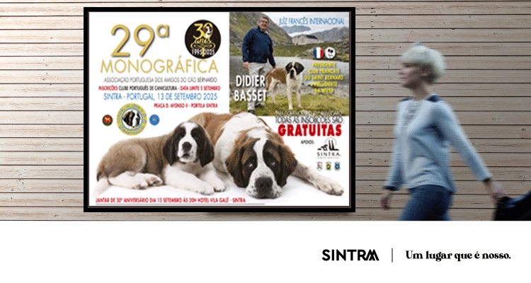 Sintra recebe evento internacional dedicado ao cão São Bernardo