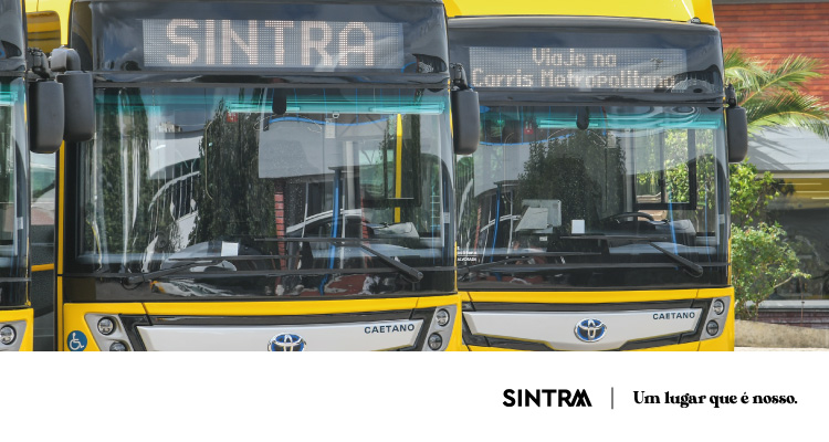 INFO | Carris Metropolitana reforça horários e ajusta percursos no regresso às aulas
