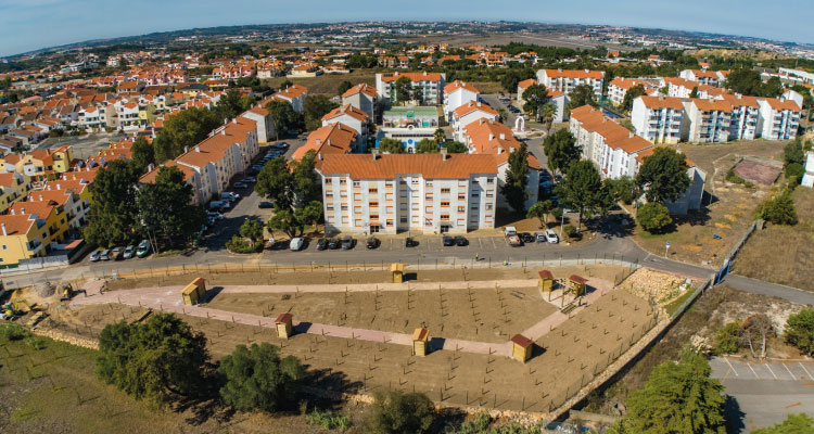 Câmara de Sintra cria Horta Solidária no Bairro da Nova Imagem | Algueirão - Mem Martins