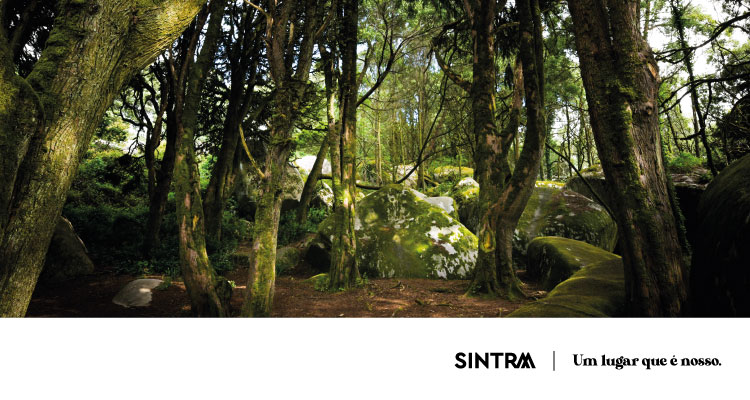 intra assinala aniversário do Parque Natural Sintra-Cascais