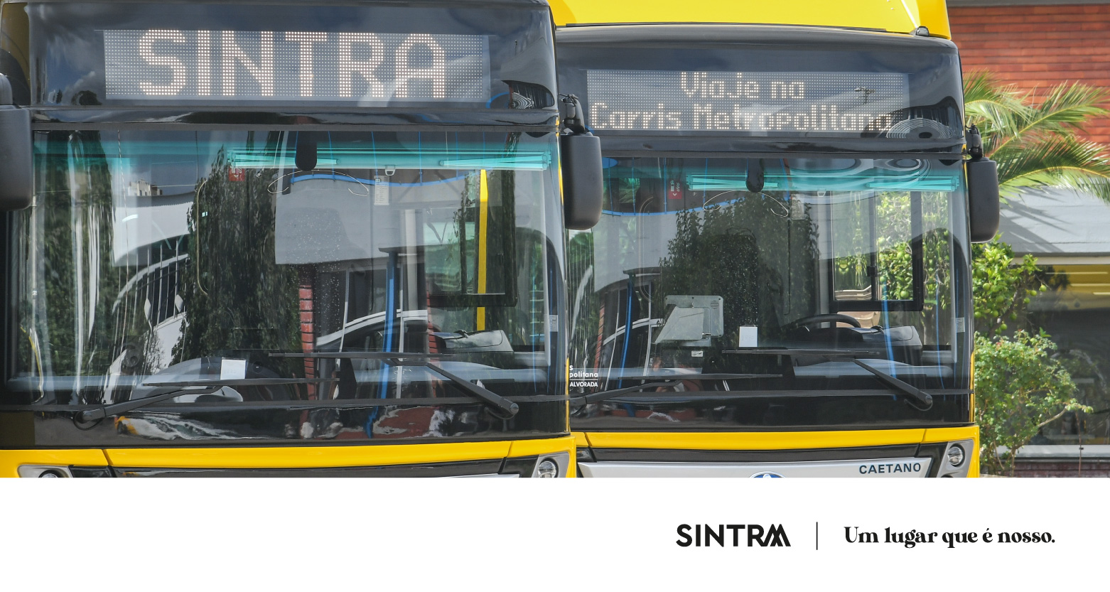 INFO | Carris Metropolitana com nova numeração de linhas e ajustes de horário a partir de novembro