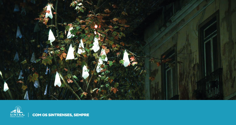 Sintra duplica investimento nas iluminações natalícias e reforça apoio às freguesias