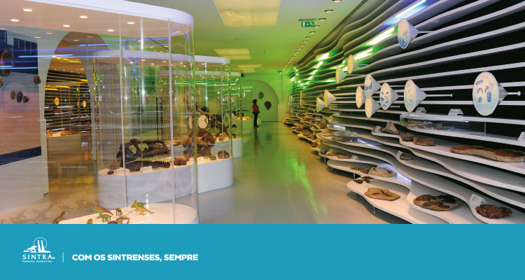 Museus Municipais de Sintra com novos horários