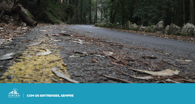AVISO | Circulação interrompida na Estrada dos Capuchos