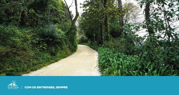 AVISO | Encerramento de Parques e Monumentos de Sintra devido ao mau tempo