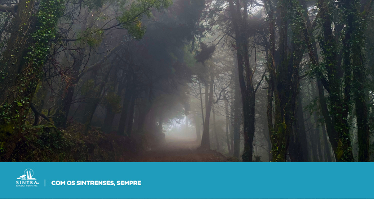 AVISO | Encerramento dos acessos à Serra de Sintra devido a condições meteorológicas adversas