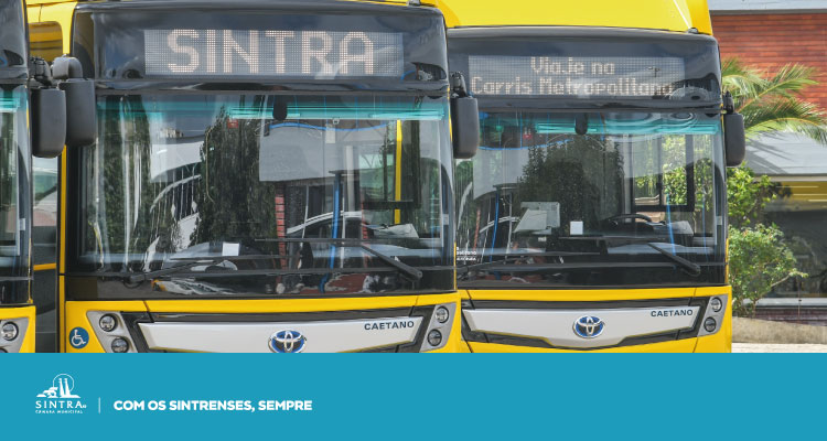 INFO | Sintra com reforço de percursos da Carris Metropolitana