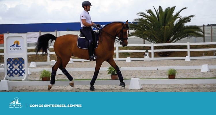 Sintra acolhe Concurso Internacional de Dressage 3