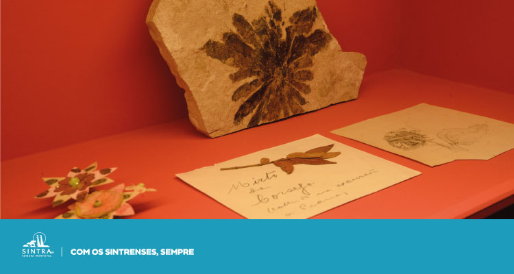 Museus de Sintra lançam nova programação cultural para fevereiro