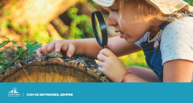 Sintra avança com projetos de educação ambiental