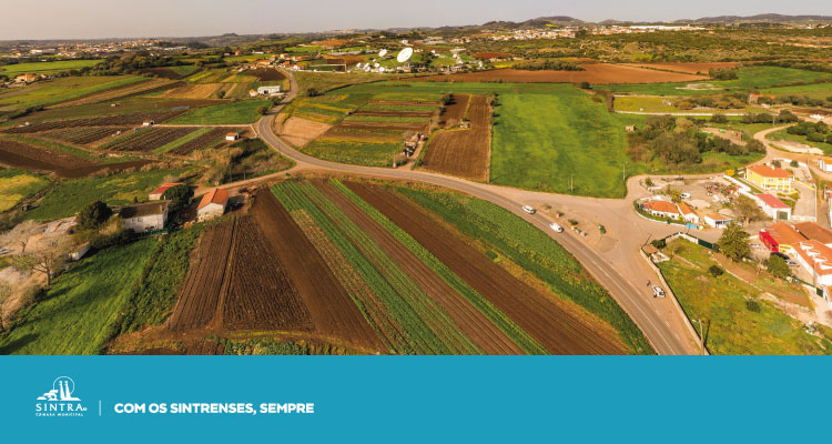Sintra aprova Relatório sobre o Estado do Ordenamento do Território