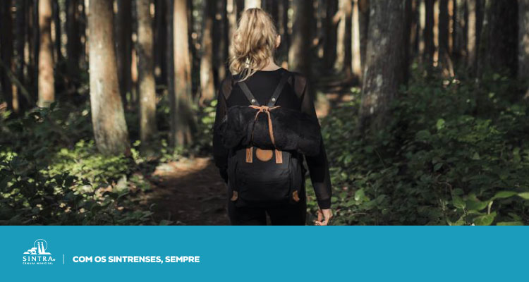 Sintra reforça aposta na formação “Forest Flow”