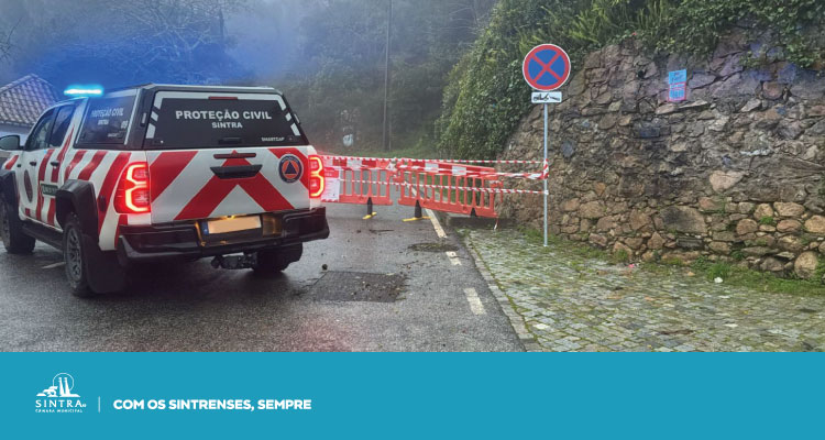 Mau tempo | Proteção Civil de Sintra responde a mais de 700 ocorrências