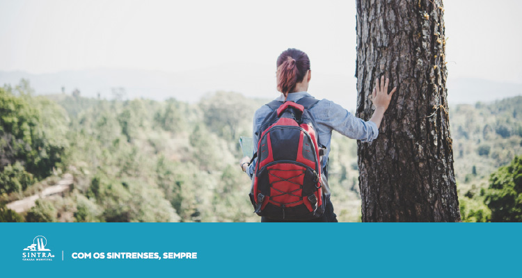 Sintra assinala o Dia da Árvore e da Floresta com percursos pedestres  