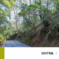 Perímetro da Serra de Sintra encerrado até 28 de julho