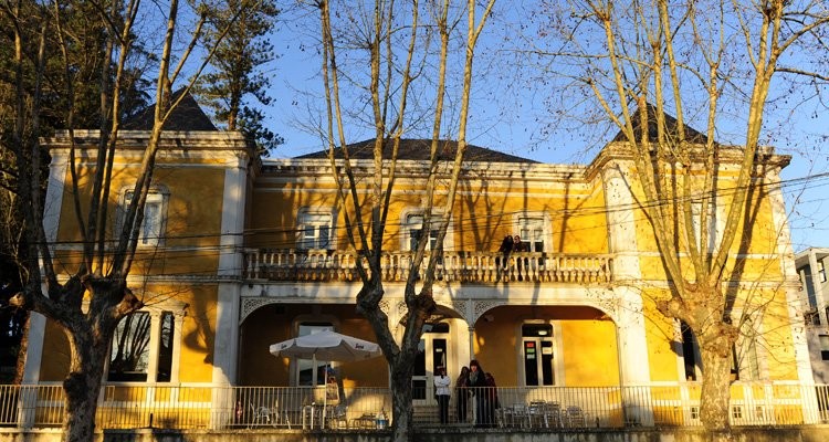 biblioteca sintra 01