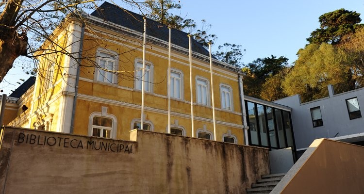 biblioteca sintra 05