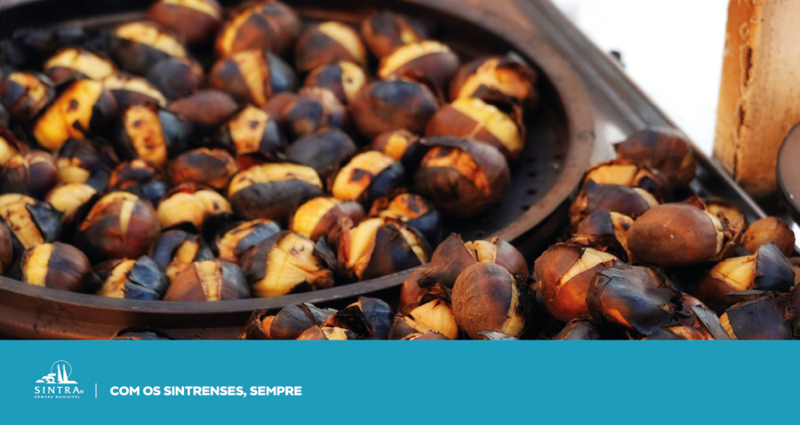 Centros_LUdicos_Novembro_Banner_CLL_Sao_Martinho