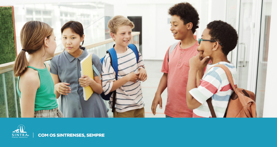 Centros_LUdicos_Novembro_Banner_CLM_Almofada