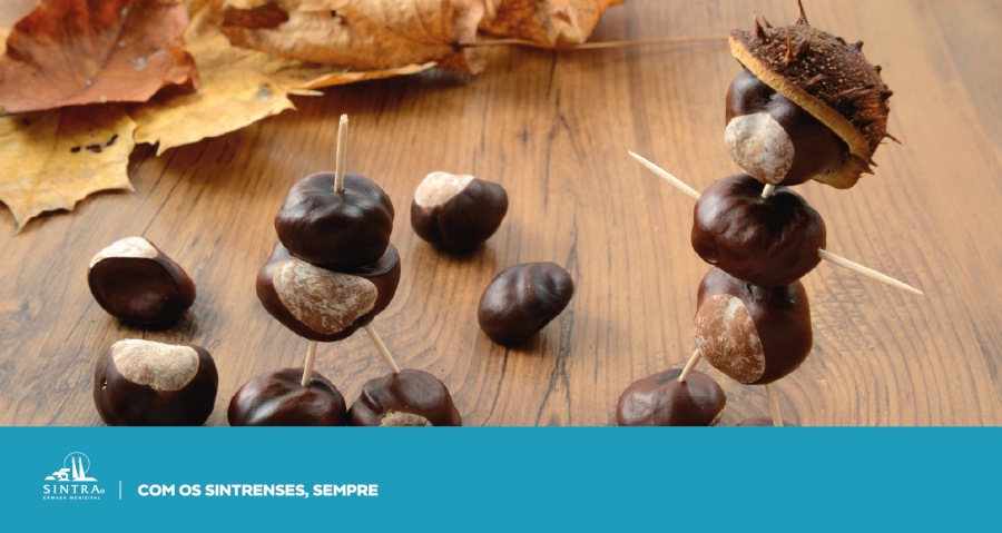 Centros_LUdicos_Novembro_Banner_CLRM_Historias_Familia