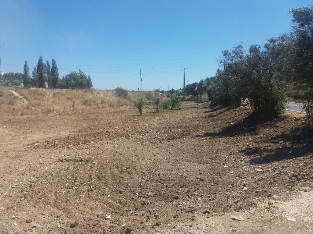 Bairro da Xetaria - Limpeza Coreciva de terreno 1