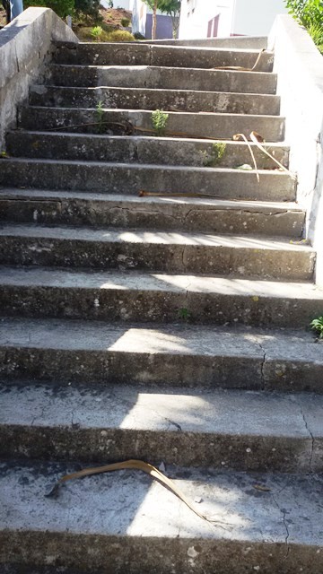 Muros escadaria Quinta do Mirante1 antes