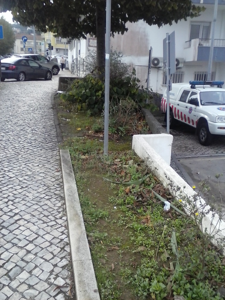 espaço verde na Rua Acácio Barreiros Antes da intervenção