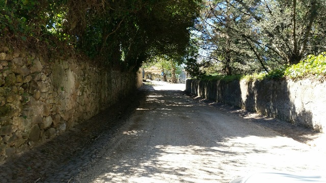 Rua Quinta do Alto antes