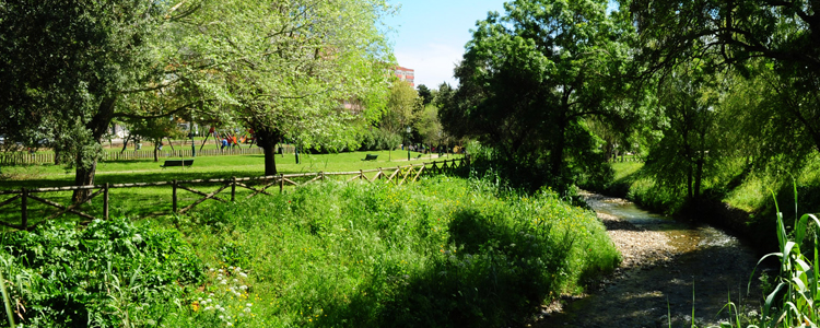 Parque Felicio Loureiro