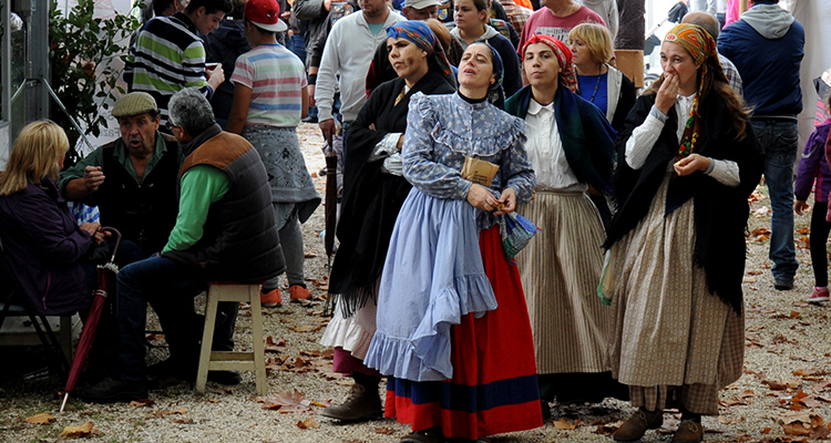 feira merces