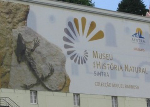 Museu historia Natural de sintra 1