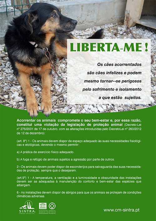 FOLHETO CAO ACORRENTADO